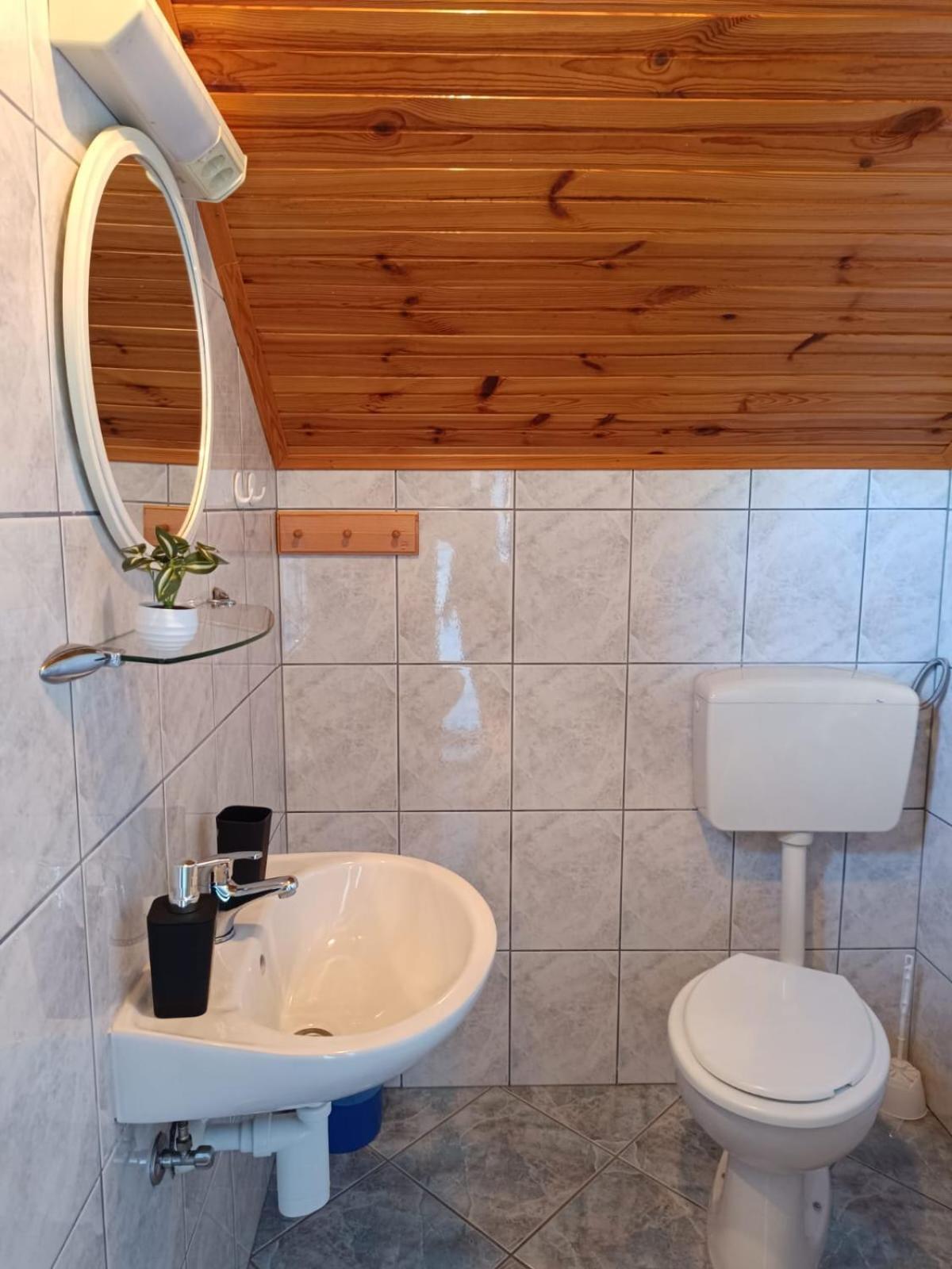 Guesthouse Mirko Hodak Selište Drežničko Exterior foto